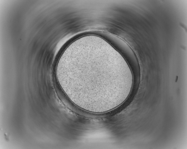 X0000102380960200808291358