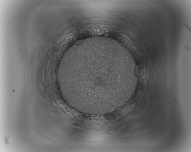 X0000102380961200808291357