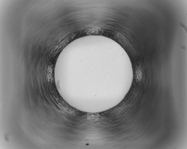 X0000102380964200808291357