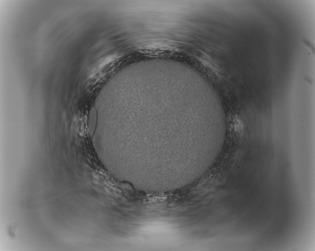 X0000102380965200808291357