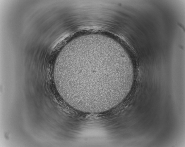 X0000102380967200808291357