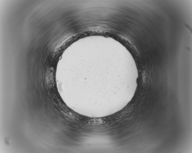 X0000102380968200808291357