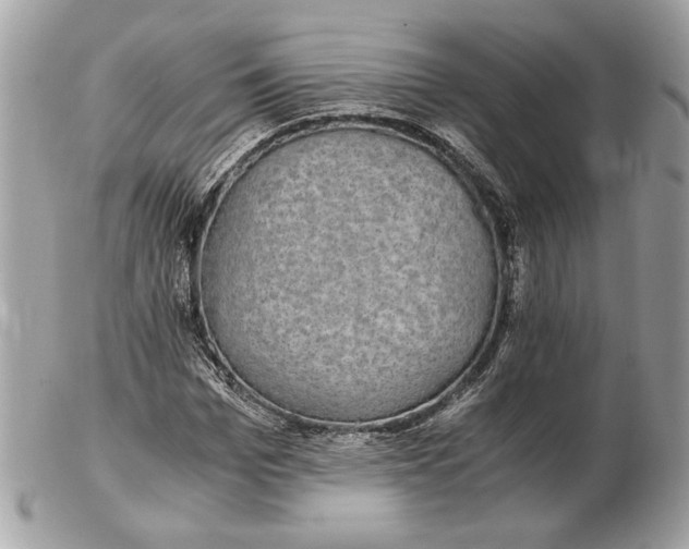 X0000102380969200808291357