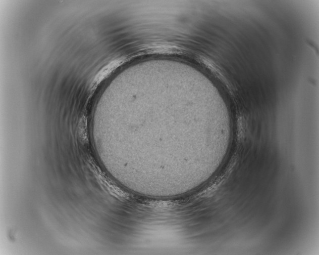 X0000102380970200808291357