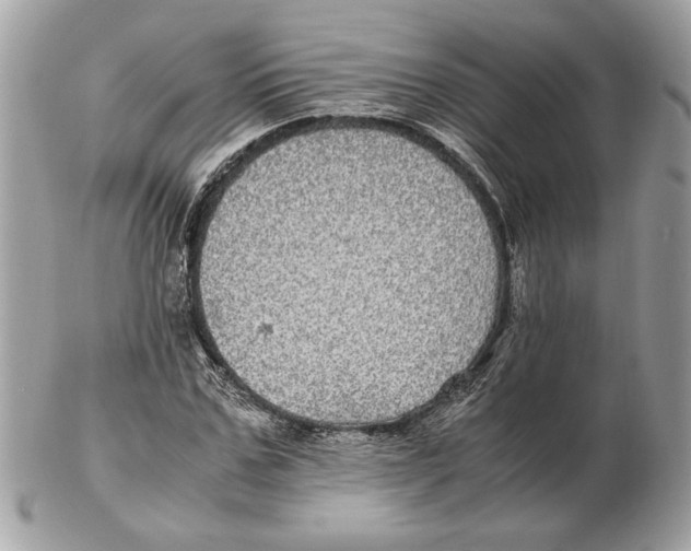 X0000102380971200808291357