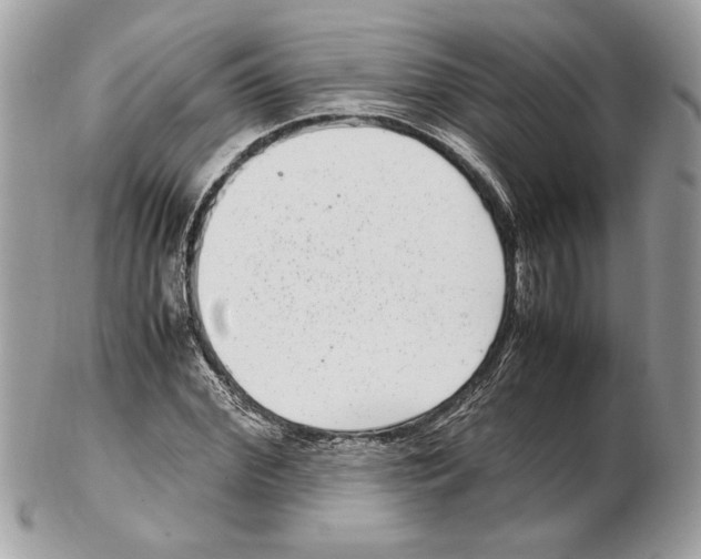 X0000102380972200808291357