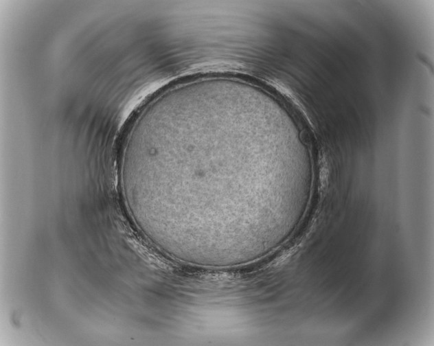 X0000102380973200808291357