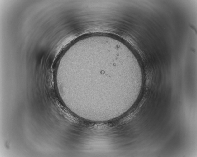 X0000102380974200808291357