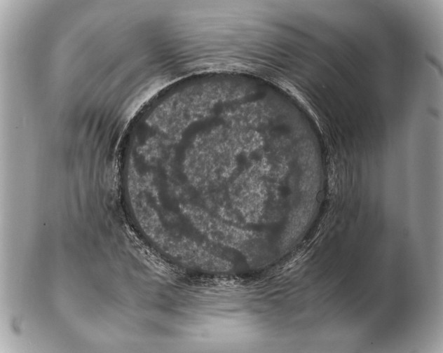 X0000102380975200808291357