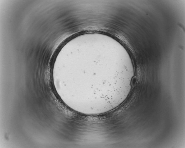 X0000102380976200808291357