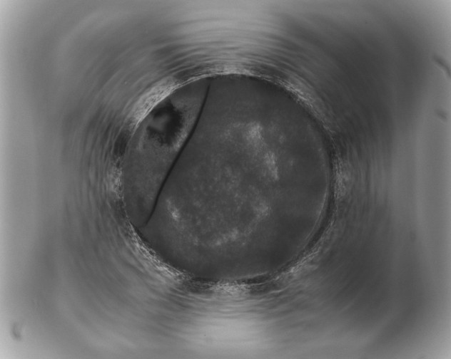 X0000102380977200808291357