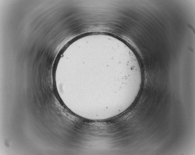 X0000102380980200808291357