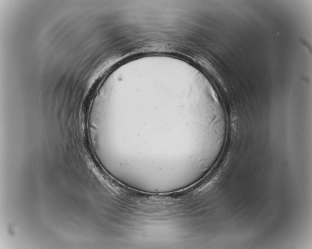 X0000102380981200808291357