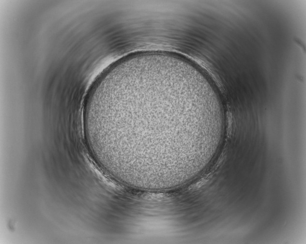 X0000102380982200808291357