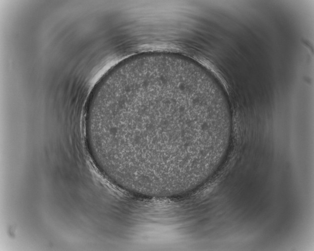 X0000102380983200808291357