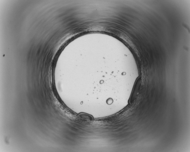 X0000102380984200808291357