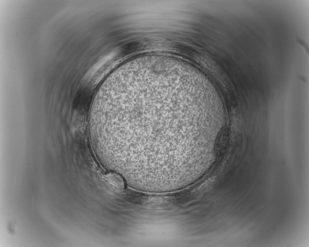 X0000102380985200808291357