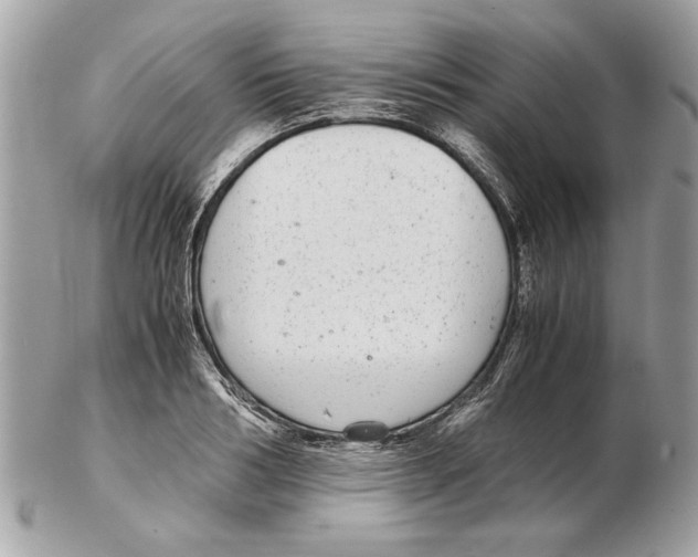 X0000102380986200808291357