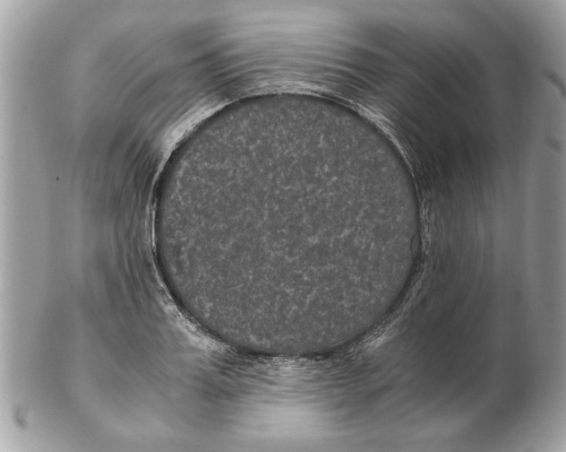 X0000102380987200808291357