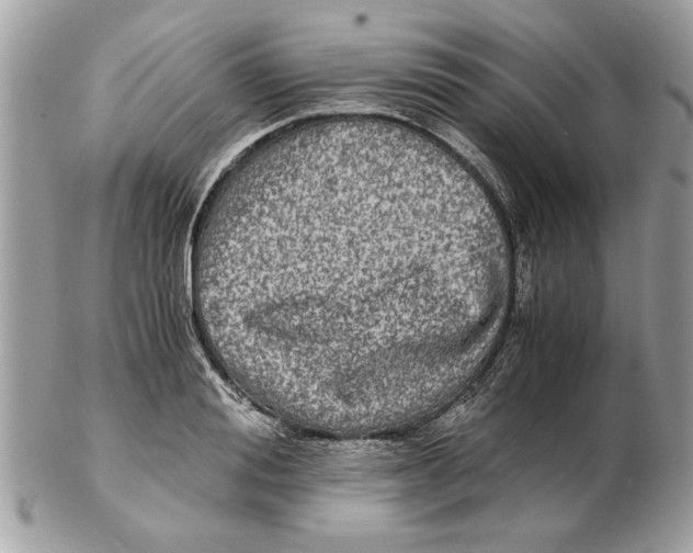 X0000102380988200808291357