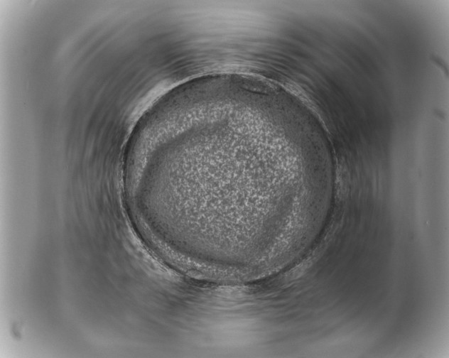 X0000102380989200808291357