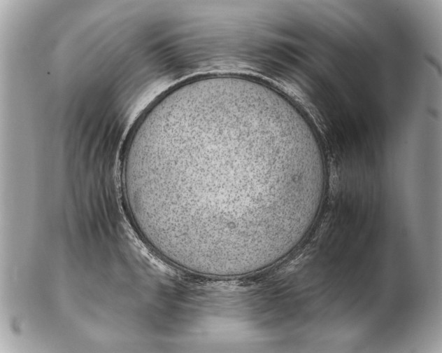 X0000102380990200808291357