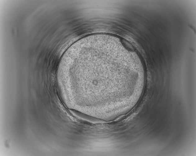 X0000102380993200808291357