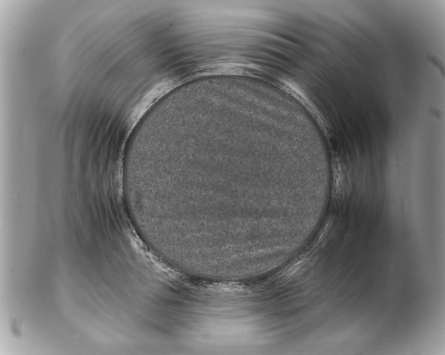 X0000102380994200808291357