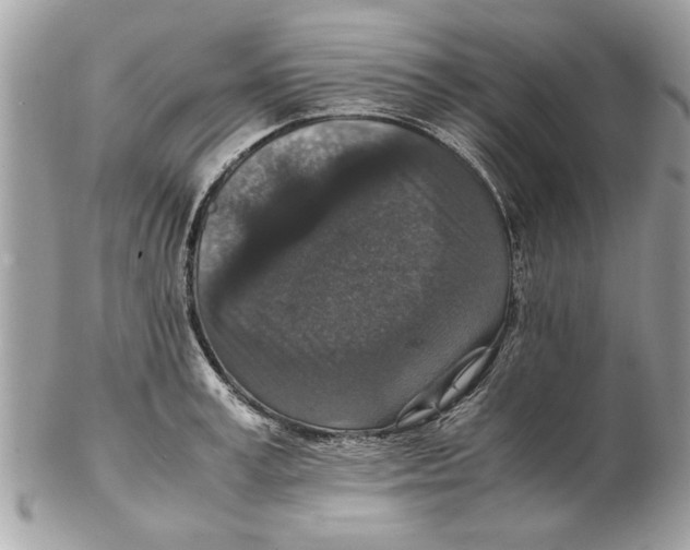 X0000102380995200808291357