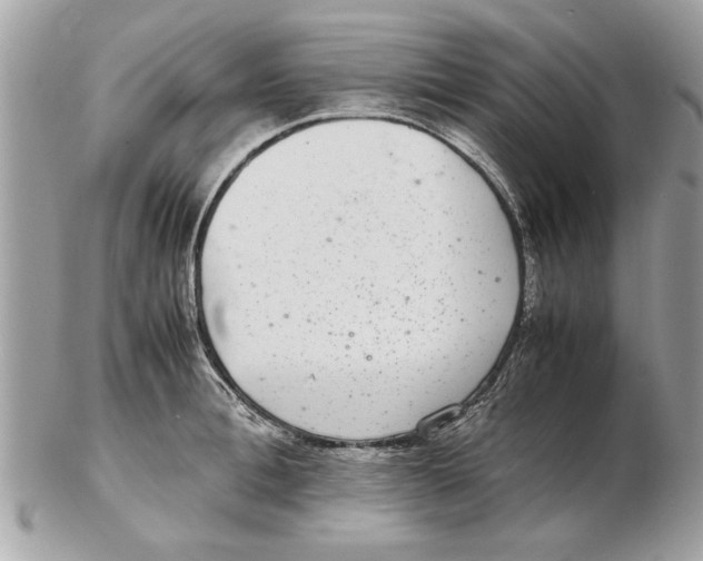 X0000102380996200808291357