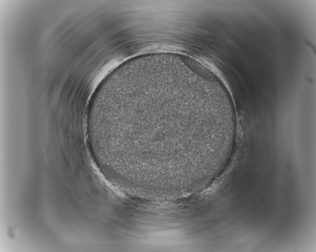 X0000102380997200808291357