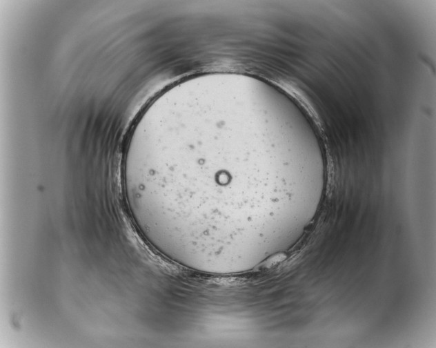 X0000102381000200808291357