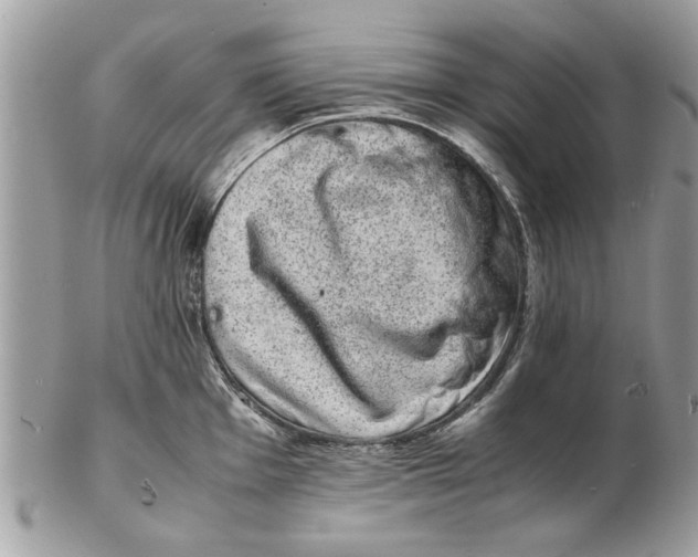 X0000102381001200808291357