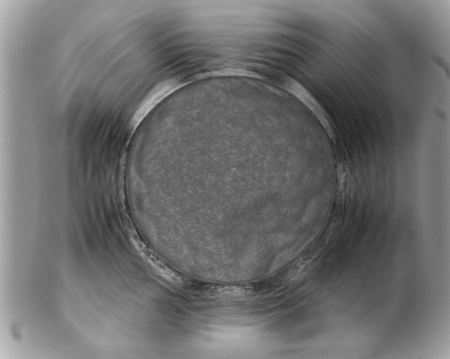 X0000102381002200808291357