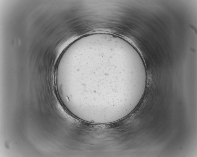 X0000102381003200808291357