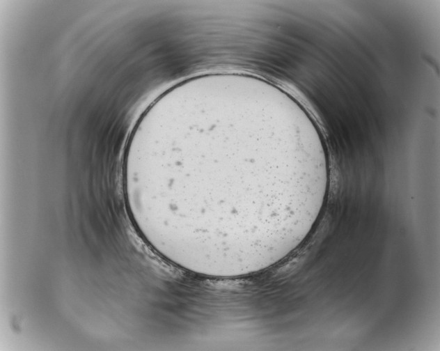 X0000102381004200808291357