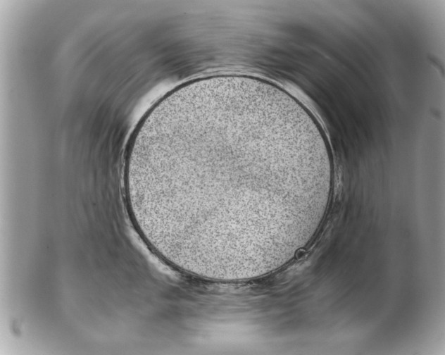 X0000102381005200808291357