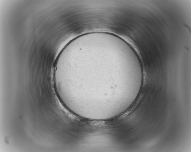 X0000102381006200808291357