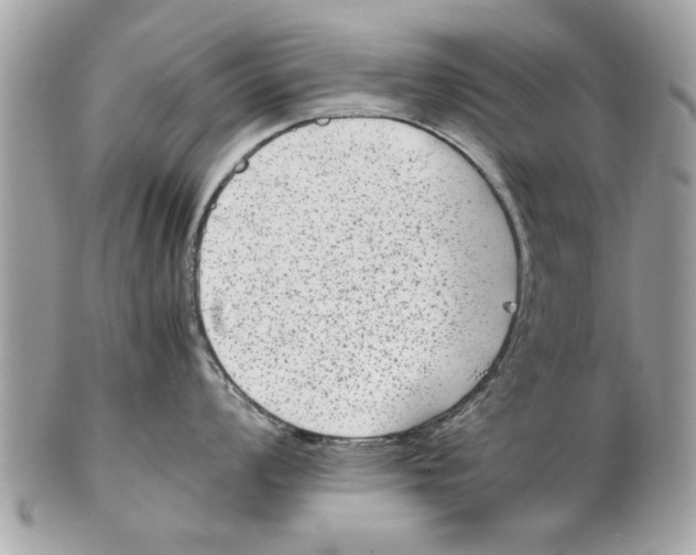 X0000102381008200808291357