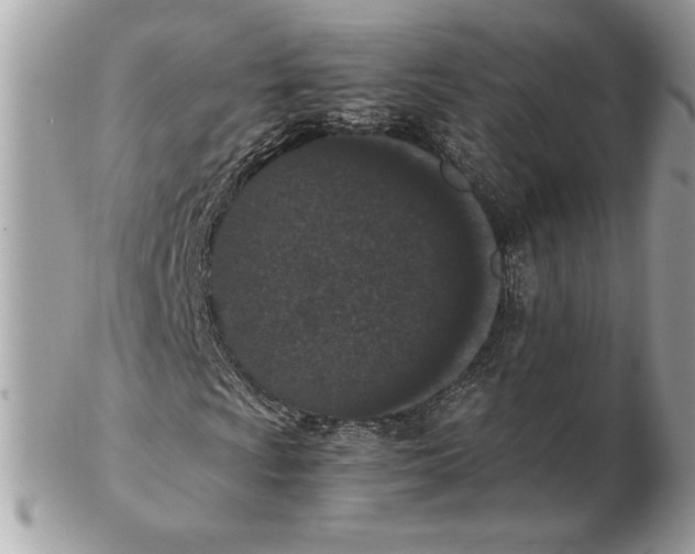 X0000102381009200808291356