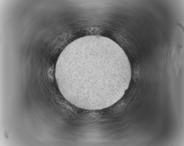 X0000102381010200808291356