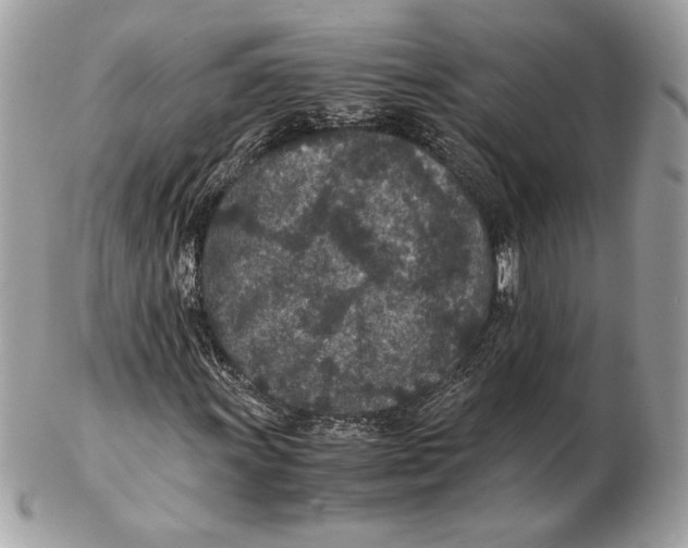 X0000102381011200808291356