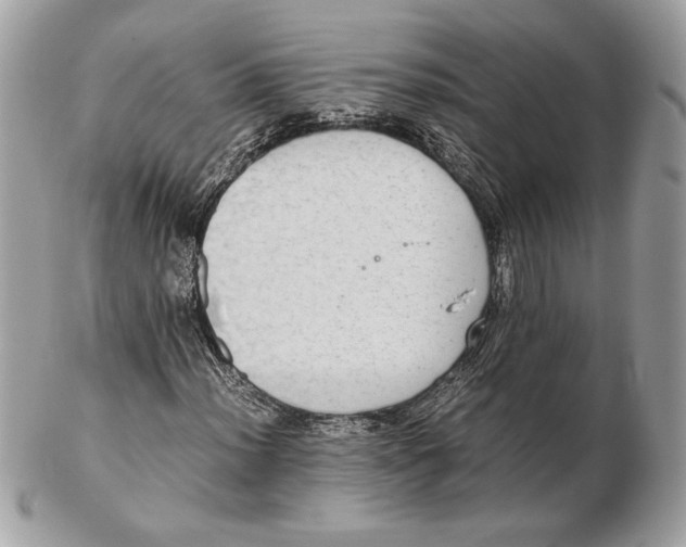 X0000102381012200808291356