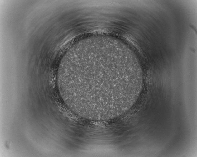 X0000102381015200808291356