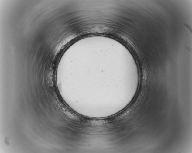 X0000102381018200808291356