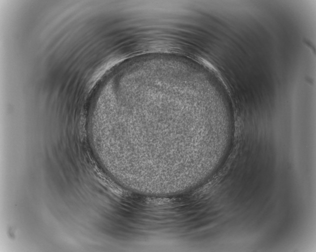 X0000102381019200808291356