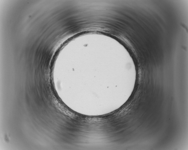 X0000102381020200808291356