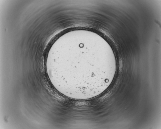 X0000102381021200808291356