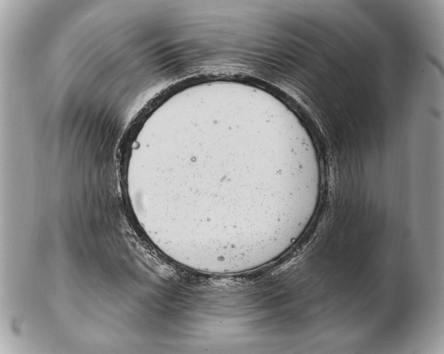 X0000102381022200808291356