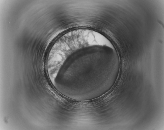 X0000102381024200808291356